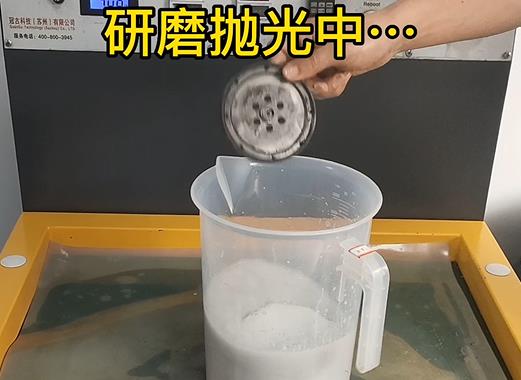 圆轮状梁子湖铝件样品